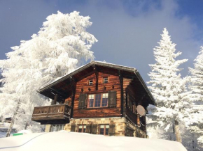Chalet Balfrin Riederalp